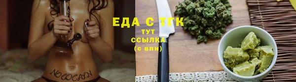 стаф Богданович